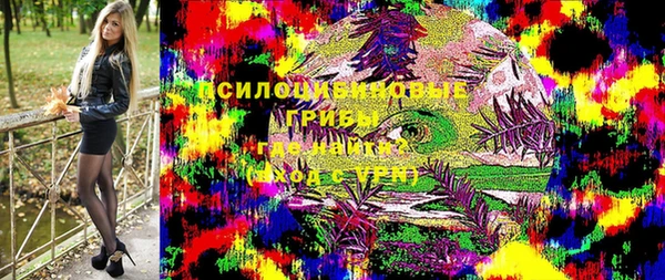 PSILOCYBIN Аркадак