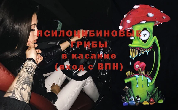 дмт Дмитров
