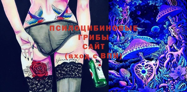 ECSTASY Армянск