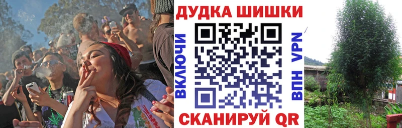 магазин продажи наркотиков  Дюртюли  Марихуана THC 21% 